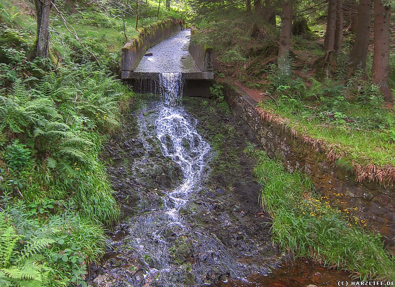 Der Gerlachsbacher Damm