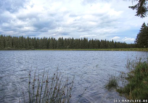 Blick über den Jägersbleeker Teich Der Jägersbleeker Teich
