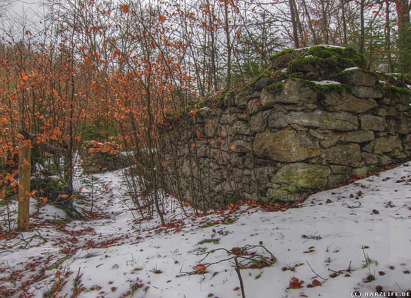 Ruinen des Klosters Alt-Michaelstein am Volkmarskeller