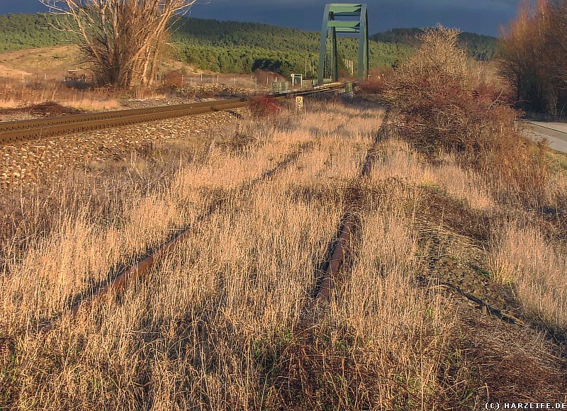 Ein teilweise zugewachsenes altes Gleisstück nordöstlich von Blankenburg