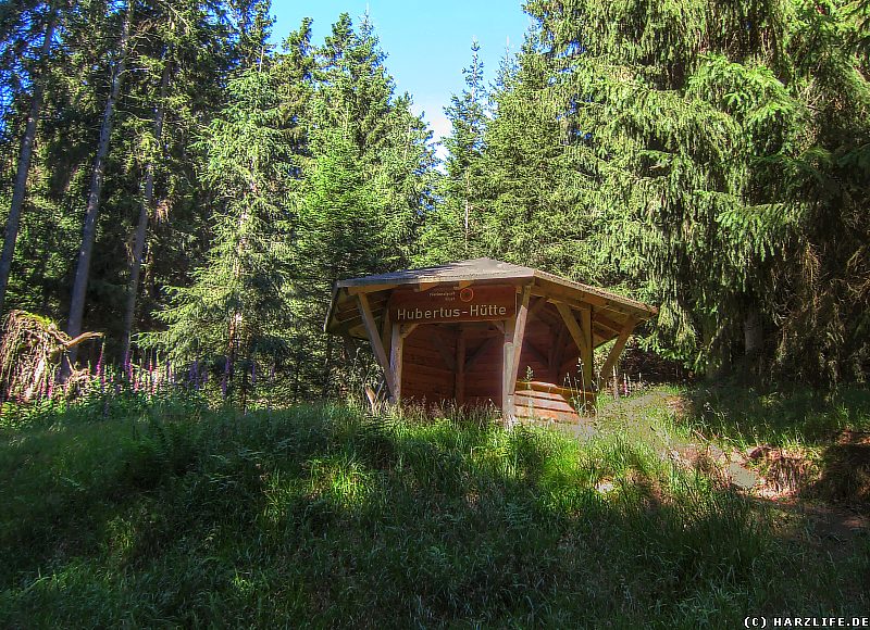 Die Hubertus-Hütte im Harz
