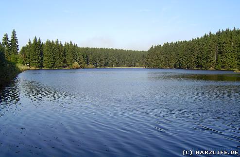 Der Bärenbrucher Teich großer ehemaliger Bergbauteich bei Buntenbock