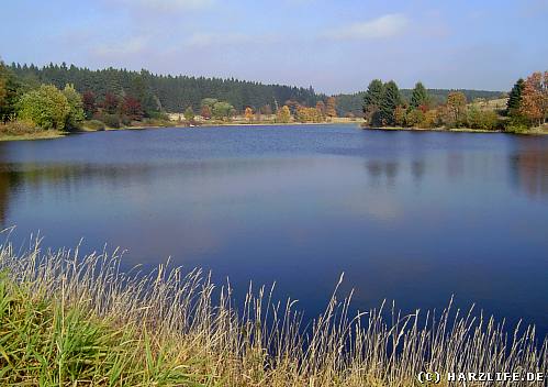 Der Große Sumpfteich Bergbauteich am Ortsrand von Buntenbock im Harz