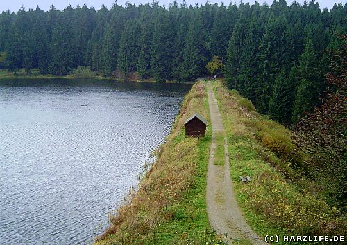 Blick auf den Prinzenteich Der Prinzenteich bei Buntenbock im Harz