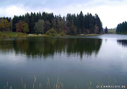 Blick über den Schwarzenbacher Teich Der Schwarzenbacher Teich zwischen Buntenbock und Clausthal-Zellerfeld