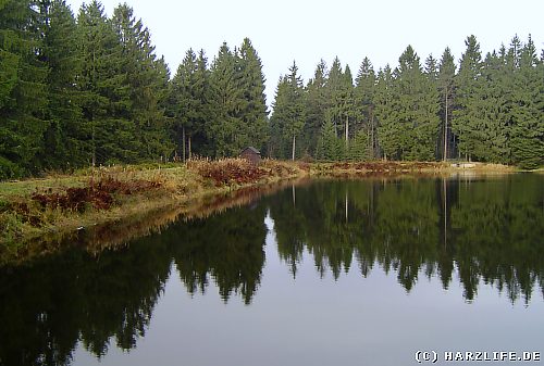 Semmelwieser Teich mit Staudamm Der Semmelwieser Teich