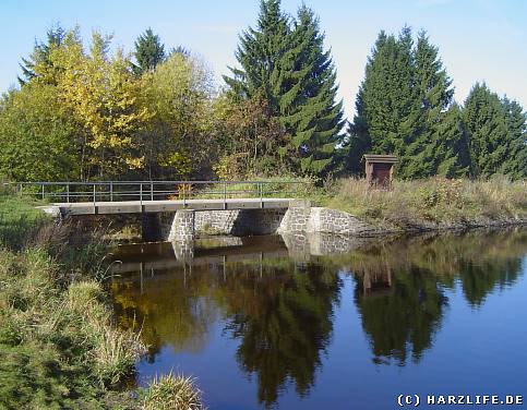 Teiche im Harz Gesamtübersicht Baden, Angeln u.v.m.