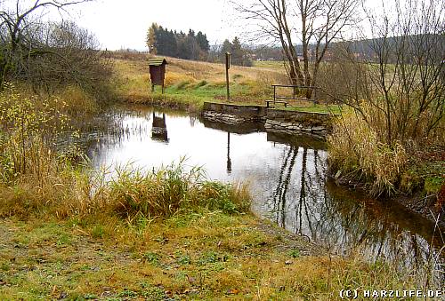 wandern im Harz Der Wasserwanderweg Hasenbacher Teich