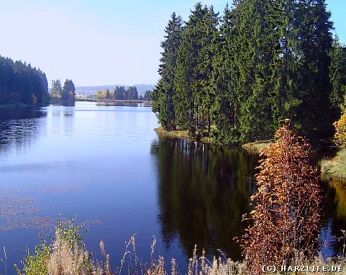 wandern im Harz Wasserwanderweg Buntenbocker Teiche