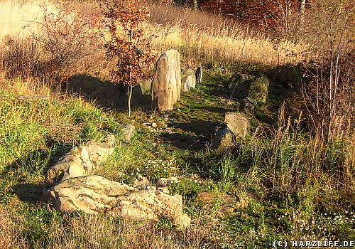 Megalithgrab bei Langelsheim im Harz Blick auf das Megalith-Grab