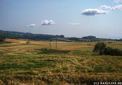 Das Gebiet des Hungersees bei Breitungen Das Gebiet des Hungersees