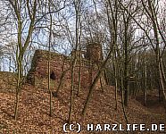 Die Burgmauer der Vorburg und der Burggraben