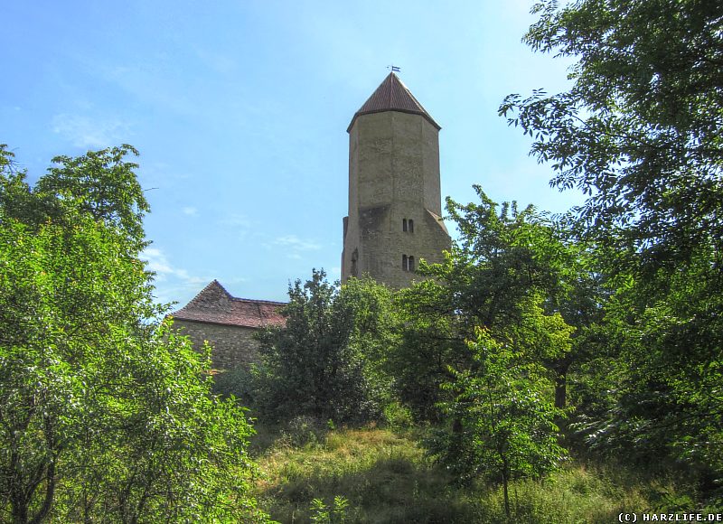 Burg Freckleben - Der Bergfried 3