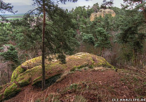 Blick von der Teufelskanzel zum Klusfelsen Die Teufelskanzel (Teufelsstuhl)